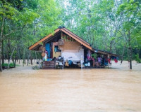 ผู้ว่าฯ สุราษฎร์ธานี รุดลงพื้นที่ติดตามสถานการณ์น้ำและเยี่ยม ... พารามิเตอร์รูปภาพ 12