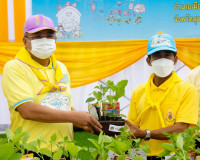 จังหวัดสุราษฎร์ธานี จัดกิจกรรมจิตอาสาพัฒนา เนื่องใน “วันปฐมบ ... พารามิเตอร์รูปภาพ 10