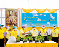 จังหวัดสุราษฎร์ธานี จัดกิจกรรมจิตอาสาพัฒนา เนื่องใน “วันปฐมบ ... พารามิเตอร์รูปภาพ 2