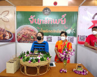 การลงพื้นที่เยี่ยมเยียนผู้ประกอบในการออกบูธจำหน่ายตามโครงการ ... พารามิเตอร์รูปภาพ 7
