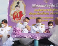 พุทธศาสนิกชนจังหวัดสุราษฎร์ธานีพร้อมใจทำบุญตักบาตรและปล่อยพั ... พารามิเตอร์รูปภาพ 14