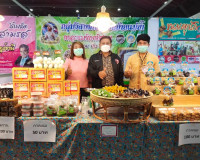 รองผู้ว่าฯ ลงพื้นที่ตรวจเยี่ยม ติดตามและประเมินผลการจำหน่ายส ... พารามิเตอร์รูปภาพ 7