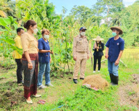 การลงพื้นที่เพื่อพิจารณาคัดสรรกิจกรรมพัฒนาชุมชนดีเด่น ประจำป ... พารามิเตอร์รูปภาพ 11