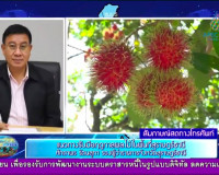 รองผู้ว่าฯ ออกรายการ &quot;ผู้ว่าฯคุยกับประชาชน&quot; และ &quot;รายการแหลงข ... พารามิเตอร์รูปภาพ 5