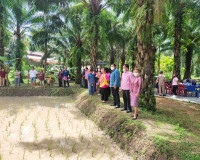 การลงพื้นที่เพื่อพิจารณาคัดสรรกิจกรรมพัฒนาชุมชนดีเด่น ประจำป ... พารามิเตอร์รูปภาพ 7
