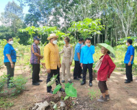 การลงพื้นที่เพื่อพิจารณาคัดสรรกิจกรรมพัฒนาชุมชนดีเด่น ประจำป ... พารามิเตอร์รูปภาพ 12