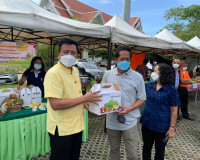 การกระจายผลผลิตสับปะรดภูแล ให้กับเครือข่ายกลุ่มองค์กรเกษตรกร ... พารามิเตอร์รูปภาพ 5