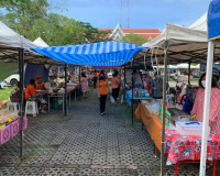 การกระจายผลผลิตสับปะรดภูแล ให้กับเครือข่ายกลุ่มองค์กรเกษตรกร ... พารามิเตอร์รูปภาพ 9
