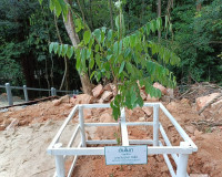 ผู้ว่าฯ สุราษฎร์ธานี เป็นประธานในพิธีปักหมายเขตวิสุงคามสีมา  ... พารามิเตอร์รูปภาพ 21