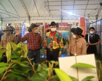 ผู้ว่าฯสุราษฎร์ สวมชุดคาวบอย เปิดงานเกษตรแฟร์ Co-op 2565 ขณะ ... พารามิเตอร์รูปภาพ 5