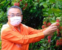 สุราษฎร์ธานีจัดยิ่งใหญ่งานเทศกาลเงาะโรงเรียนนาสาร (GI) ครั้ง ... พารามิเตอร์รูปภาพ 1