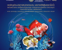 พิธีปล่อยมังกรคืนถิ่น กิจกรรมปล่อยปลาออนไลน์ วันประมงน้อมเกล ... พารามิเตอร์รูปภาพ 10