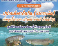 พิธีปล่อยมังกรคืนถิ่น กิจกรรมปล่อยปลาออนไลน์ วันประมงน้อมเกล ... พารามิเตอร์รูปภาพ 11