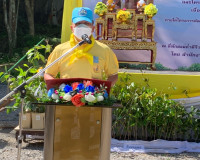 การประชุมคณะทำงานตรวจสอบข้อเท็จจริงกรณีปัญหาผู้ได้รับผลกระทบ ... พารามิเตอร์รูปภาพ 12