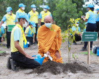 จังหวัดสุราษฎร์ธานี ร้อยดวงใจทำดีเพื่อแม่ของแผ่นดิน ปลูกป่าเ ... พารามิเตอร์รูปภาพ 8