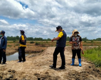 การออกตรวจพื้นที่การขอออกโฉนดที่ดินที่มีสภาพพื้นที่เป็นป่าชา ... พารามิเตอร์รูปภาพ 13