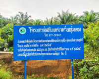 รองผู้ว่าสุราษฎร์ ลงพื้นที่ตรวจสถานที่ที่ขออนุญาตปลูกสร้างสิ ... พารามิเตอร์รูปภาพ 11