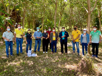 รองผู้ว่าราชการจังหวัด ลงพื้นที่สวนยางต้นแบบในการติดตั้งการก ... พารามิเตอร์รูปภาพ 1