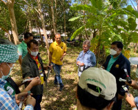 รองผู้ว่าราชการจังหวัด ลงพื้นที่สวนยางต้นแบบในการติดตั้งการก ... พารามิเตอร์รูปภาพ 6