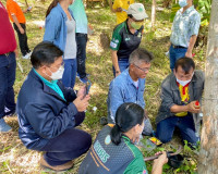 รองผู้ว่าราชการจังหวัด ลงพื้นที่สวนยางต้นแบบในการติดตั้งการก ... พารามิเตอร์รูปภาพ 10