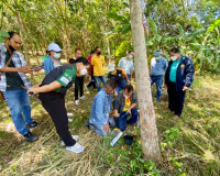 รองผู้ว่าราชการจังหวัด ลงพื้นที่สวนยางต้นแบบในการติดตั้งการก ... พารามิเตอร์รูปภาพ 12