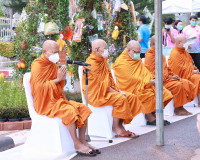 พ่อเมืองสุราษฎร์ธานี นำประชาชนและนักท่องเที่ยวร่วมพิธีชักพุ่ ... พารามิเตอร์รูปภาพ 8
