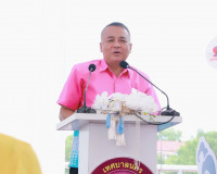 งานชักพระทอดผ้าป่าและแข่งเรือยาวจังหวัดสุราษฎร์ธานี ประจำปี  ... พารามิเตอร์รูปภาพ 1