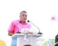 งานชักพระทอดผ้าป่าและแข่งเรือยาวจังหวัดสุราษฎร์ธานี ประจำปี  ... พารามิเตอร์รูปภาพ 2