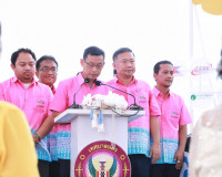 งานชักพระทอดผ้าป่าและแข่งเรือยาวจังหวัดสุราษฎร์ธานี ประจำปี  ... พารามิเตอร์รูปภาพ 8