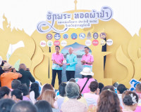 งานชักพระทอดผ้าป่าและแข่งเรือยาวจังหวัดสุราษฎร์ธานี ประจำปี  ... พารามิเตอร์รูปภาพ 12