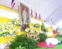พสกนิกรจังหวัดสุราษฎร์ธานีร่วมทำบุญตักบาตรถวายพระราชกุศล เนื ... พารามิเตอร์รูปภาพ 3