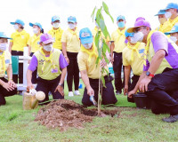 รองผู้ว่าราชการจังหวัดสุราษฎร์ธานี นำข้าราชการ เจ้าหน้าที่ แ ... พารามิเตอร์รูปภาพ 11