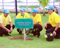 รองผู้ว่าราชการจังหวัดสุราษฎร์ธานี นำข้าราชการ เจ้าหน้าที่ แ ... พารามิเตอร์รูปภาพ 13