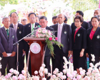 ผู้ว่าราชการ จังหวัดสุราษฎร์ธานีร่วมงาน“วันวิญญาณ” ประจำปี 2 ... พารามิเตอร์รูปภาพ 13