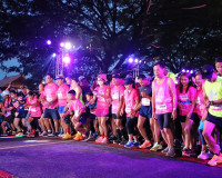 ผู้ว่าราชการจังหวัดสุราษฎร์ธานี เป็นประธานเปิด เปิดการแข่งขั ... พารามิเตอร์รูปภาพ 14
