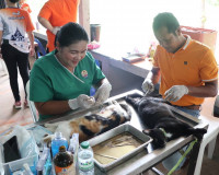 พิธีเปิดโครงการคลินิกเกษตรเคลื่อนที่ในพระราชานุเคราะห์สมเด็จ ... พารามิเตอร์รูปภาพ 17