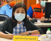 การเตรียมความพร้อมการป้องกันและแก้ไขปัญหาอุทกภัย วาตภัย และด ... พารามิเตอร์รูปภาพ 10