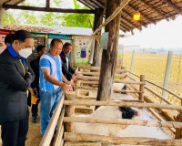 รองผู้ว่าราชการจังหวัดสุราษฎร์ธานี ประธานกรรมการกองทุนพัฒนาโ ... พารามิเตอร์รูปภาพ 5