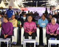 “รมว.ท่องเที่ยว” เปิดงาน “ไชยา มหานครศรีวิชัย” ที่สุราษฎร์ธา ... พารามิเตอร์รูปภาพ 15