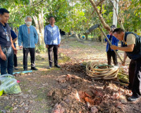 รองผู้ว่าราชการจังหวัดสุราษฎร์ธานี ลงพื้นที่อำเภอเคียนซา และ ... พารามิเตอร์รูปภาพ 12