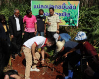 รองผู้ว่าราชการจังหวัดสุราษฎร์ธานี ร่วมลงพื้นที่กับรัฐมนตรีช ... พารามิเตอร์รูปภาพ 13