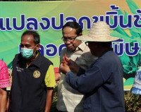 รองผู้ว่าราชการจังหวัดสุราษฎร์ธานี ร่วมลงพื้นที่กับรัฐมนตรีช ... พารามิเตอร์รูปภาพ 14