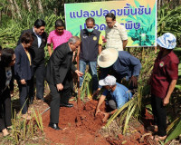 รองผู้ว่าราชการจังหวัดสุราษฎร์ธานี ร่วมลงพื้นที่กับรัฐมนตรีช ... พารามิเตอร์รูปภาพ 15