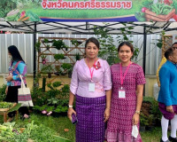 ประชุมสมาคมแม่บ้านมหาดไทยสัญจร ครั้งที่ 4 พื้นที่ภาคใต้ ภายใ ... พารามิเตอร์รูปภาพ 10