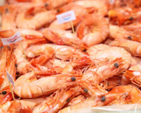 ชมรมผู้เลี้ยงกุ้งท่าทองร่วมพัฒนาและขับเคลื่อนอุตสาหกรรมกุ้งไ ... พารามิเตอร์รูปภาพ 14