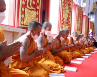 ผู้ว่าฯ สุราษฎร์ธานีนำพุทธศาสนิกชนทุกหมู่เหล่าร่วมเจริญพระพุ ... พารามิเตอร์รูปภาพ 8