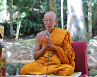 ผู้ว่าราชการจังหวัดสุราษฎร์ธานี ร่วมพิธีฉลองสมณศักดิ์ พระราช ... พารามิเตอร์รูปภาพ 3