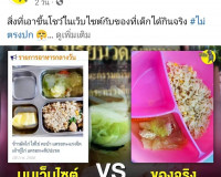 ผู้ว่าราชการจังหวัดสุราษฎร์ธานีลงพื้นที่ติดตามการสอบสวนกรณีข ... พารามิเตอร์รูปภาพ 8