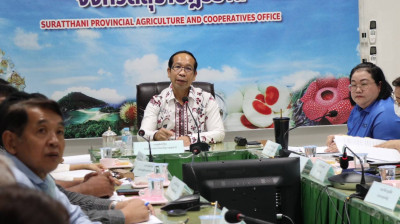 การประชุมพิจารณาคำร้องเข้าสู่การไกล่เกลี่ยข้อพิพาท ตามพระราช ... พารามิเตอร์รูปภาพ 1