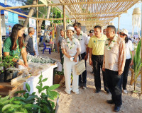 ผู้ว่าราชการจังหวัดสุราษฎร์ธานี เปิดงานสปอร์ตไลท์ เกาะเต่า ( ... พารามิเตอร์รูปภาพ 6